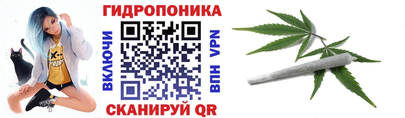 Бошки Шишки Amnesia  Сим 